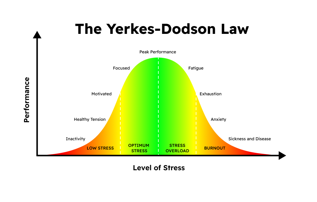 yerkes dodson law